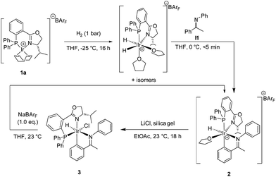 Formation of cyclometalated imine complexes.