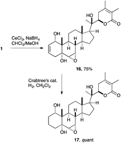 Regioselective reduction of withanolide A.