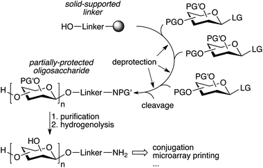 Streamlined automated solid-phase oligosaccharide synthesis (PG′: protecting group labile to hydrogenolysis).69