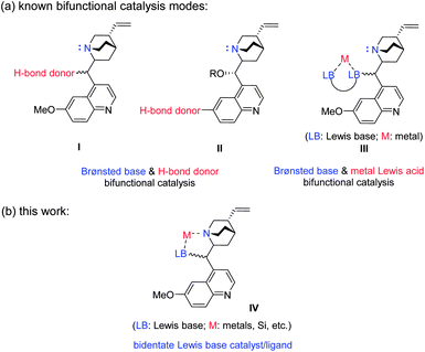 Catalyst design and application. (a) Known catalyst design based on Cinchona alkaloids. (b) Proposed new bidentate Lewis base catalyst.