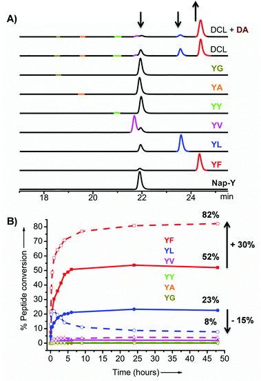 The enzymatic conversion of Nap-Y and X-NH22222222222222222 into Nap-YX-NH222222222 amphiphiles was shown by (A) part of the reversed-phase HPLC traces in isolation (all except top two traces) as well as in DCL system (top two traces) and (B) time course of the percentage conversion in DCL system by HPLC as measured in the absence (solid traces) and presence (dashed traces) of DA. Conditions: [Nap-Y] = 20 mM, [each X-NH22222222222222222] = 80 mM, [DA] = 20 mM and [thermolysin] = 1 mg ml−1.