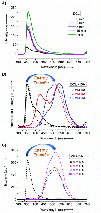 Fluorescence emission spectroscopy showing (A) time-dependent changes observed for DCL system upon the addition of thermolysin, and efficient energy transfer observed for both (B) DCL system before (solid traces) and at 15 min after (dashed traces) the addition of thermolysin at variable concentrations of DA as well as for (C) YF system in isolation before (solid traces) and at 2 min after (dashed traces) the addition of thermolysin at variable concentrations of DA (λex = 280 nm). Conditions: [Nap-Y] = 20 mM, [each X-NH22222222222222222] = 80 mM, [DA] = 0.6 mM to 10 mM and [thermolysin] = 1 mg ml−1.