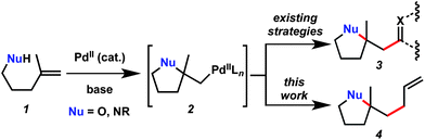 Pd-induced heterocyclization followed by C–C bond formation.