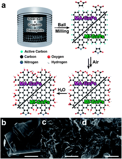 (a) Schematic representation of the mechanochemically driven solid-state Diels–Alder reaction between in situ generated active carbon species by ball-milling in the presence of a specific dienophile, maleic anhydride (MA) or maleimide (MI). Active carbon species along the broken edges would more efficiently promote [4 + 2] cycloaddition, and the remnant should be terminated by subsequent exposure to air moisture, forming oxygenated groups. The anhydride moieties at the edges of MA-GnPs could be hydrolyzed into carboxylic acids during acid-mediated work-up procedures. SEM images: (b) pristine graphite, (c) MA-GnPs, (d) MI-GnPs. Scale bars are 1 μm.