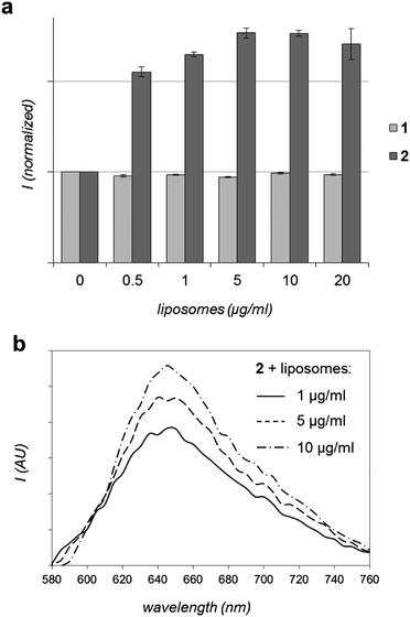 In vitro interaction of RuII complexes with liposomes. (a) Effect on MLCT luminescence intensity of 1 or 2 (λex = 450 nm) with the addition of DOPC liposomes. Data presented as average of two readings ± SD. (b) Emission spectra of 2 (λex = 488 nm) with the addition of DOPC liposomes (background corrected).