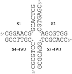 The sequences of the oligonucleotides used to form the 4WJ.