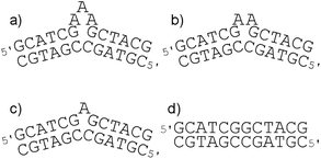 (a–c) The sequences of the oligonucleotide duplexes containing a three-, two- and one-adenine bulge, respectively. (d) The corresponding duplex used as a control.