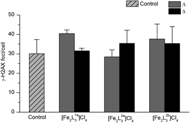 H2AX expression of HCT116 p53+/+ cells after treatment with flexicates (10 μM) for 24 h, and untreated cells (control).