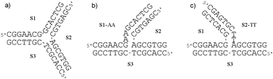 The sequences of the oligonucleotides used to form (a) Y-shaped 3WJ, and T-shaped 3WJs containing two unpaired (b) adenosines 3WJ-AA or (c) thymidines 3WJ-TT at the branch point of the junction.