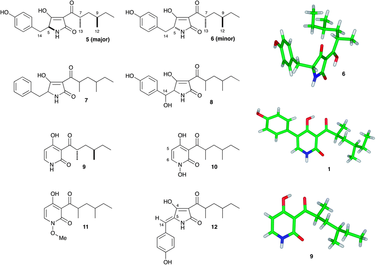 Compounds produced from heterologous expression experiments.