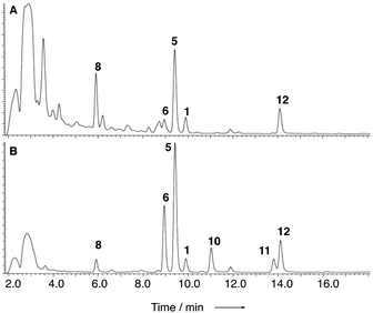 Comparison of the productivity of A. nidulans SB4.1 (trace A) and A. oryzae apdACEB (trace B).