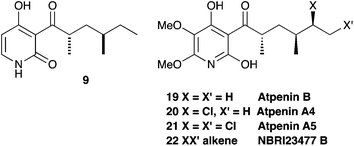 Structural relationship between 9 and the atpenins.