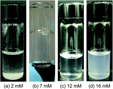 Photographs of mixtures of DMPC (18.5 mM) with varying concentrations of Gd3+ in cyclohexane. (a) At 2 mM Gd3+, the sample precipitates out. (b) At 7 mM Gd3+, the sample is viscous and gel-like, indicating long cylindrical reverse micelles. (c) At 12 mM Gd3+, the sample is of low viscosity and has a slight turbidity, indicating the onset of reverse vesicles. (d) At 16 mM Gd3+, the sample is still of low viscosity, but is much more turbid, indicating a mixture of reverse vesicles and lamellar structures.