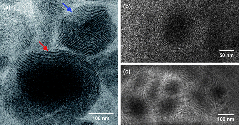 TEM images of structures present in a sample of 18.5 mM DMPC + 12 mM Gd3+ in toluene. Reverse onions are visible in these images due to the presence of Gd3+ in the bilayers (no additional staining has been done). In (a), the onion highlighted with a blue arrow has numerous bilayer shells and a negligible core region, while the onion highlighted by a red arrow has fewer shells and a distinct core region.