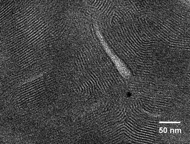 TEM image of structures present in a sample of 18.5 mM DMPC + 15 mM Gd3+ in toluene. Multilamellar stacks are visible in this image due to the presence of Gd3+ in the bilayers (no additional staining has been done).