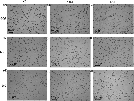 Images showing the chains after the removal of magnetic field under different salts at 100 mM concentration. GQ2 in (A) KCl, (B) NaCl and (C) LiCl. MQ2 in (D) KCl, (E) NaCl and (F) LiCl. DX in (G) KCl, (H) NaCl and (I) LiCl. Magnetic field was applied for 20 min at 30 mT.