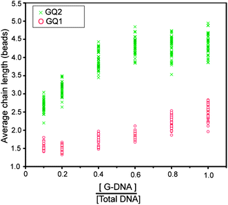 Average chain length as a function of G-DNA density on the surface of beads. Green crosses represent the data for GQ2 and red circles represent GQ1 in 100 mM KCl. Magnetic field was applied for 20 min at 30 mT.