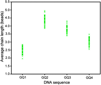 Average chain length observed for sequences with different number of G-tracts in 100 mM KCl. Magnetic field was applied for 20 min at 30 mT.