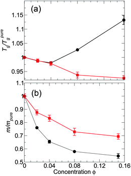 (a) Glass transition temperature Tg and (b) fragility m relative to the pure melt for both attractive and non-attractive NP interactions at the scale of polymer chains. This figure should be compared with Fig. 4, which examines the same behavior at the monomer scale. The black symbols are for attractive NP interactions and the red symbols are for non-attractive NP interactions. Uncertainties are determined using the same approach as those in Fig. 4.