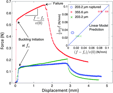 Load–displacement curves for buckling of nitinol wires with different diameters and longitudinal couplings. These curves all show three distinct deformation regimes: axial compression, short wavelength buckling, and catastrophic failure. The inset shows that the linear buckling slopes measured in micro-testing experiments are confirmed with predictions from eqn (4) for unperturbed cases with different wire diameters. However, wires with ruptured interfaces do not fit well if α‖ is interpreted as the linear slope of static friction. This shows that the effective α‖ is much lower than the static friction slope since the threshold for static friction has been exceeded and dynamic friction becomes relevant.