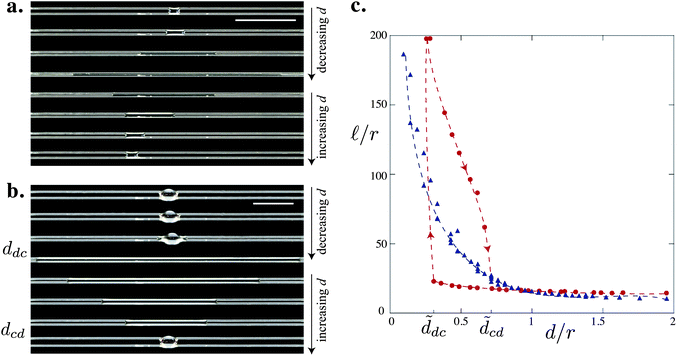 Evolution of a drop on two parallel fibers as the distance between the fibers is varied for glass fibers of radius r = 0.25 mm and of volume (a) V = 1 μL and (b) V = 4 μL. Scale bars = 1 cm. (c) Evolution of the length of the drop  = /r with the inter-fiber distance d̃ = d/r for V = 1 μL (△) and V = 4 μL (○). The arrows indicate the direction of the hysteretic loop. The dashed lines are drawn to guide the eye.