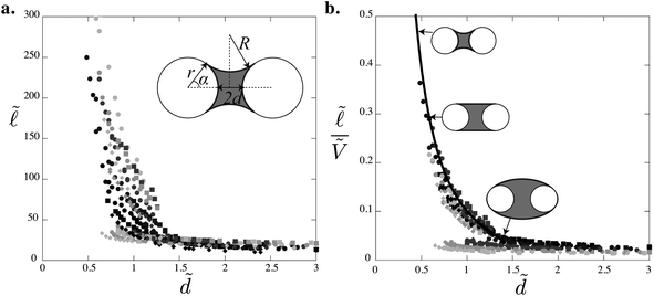 (a) Evolution of the length  = /r as the distance d̃ = d/r is varied. The inset displays a sketch of the column cross-section, characterized by the angle α and the radius of curvature R. (b) Rescaled data: evolution of /Ṽ = 1/Ã with d̃ for glass fibers of radius 2r = 0.25 mm (○), nylon fibers of radii 2r = 0.2 mm (□) and 2r = 0.35 mm (◇) for increasing volumes Ṽ = V/r3 (373 < Ṽ < 1500 from black to light gray). The curve is the analytical prediction given by eqn (2)–(4). Sketches of the cross-sectional area at different values of d̃ indicated by the arrows.