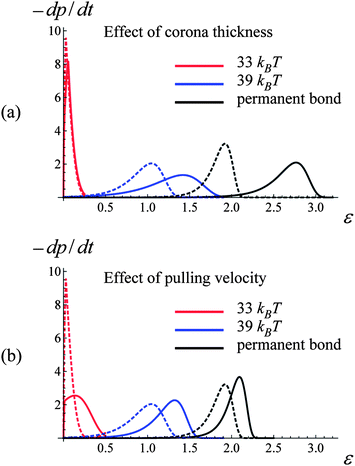 Effect of corona thickness, q, and pulling velocity, v, on bond rupture rate, −dp/dt, at bond energies U(l)0/kBT = 33, 39 and 45 (red, blue and black curves, respectively). (a) Bond rupture rate(−dp/dt)–strain(ε) curves for q = 0.75 and 1.25 (dashed and solid lines, respectively). (b) Bond rupture rate(−dp/dt)–strain(ε) curves for v = 0.001 and 0.005 (dashed and solid lines, respectively).