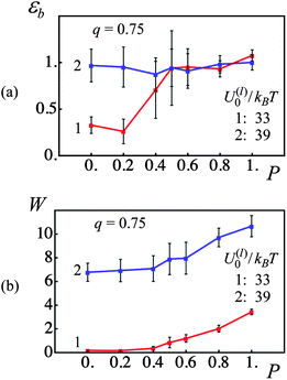 Effect of fraction of permanent bonds, P, and labile bond energy, U(l)0/kBT, on strain at break, εb, and toughness, W (red and blue lines denote U(l)0/kBT = 33 and 39, respectively). (a) Strain at break, εb, as a function of fraction of permanent bonds, P. (b) Toughness, W, as a function of fraction of permanent bonds, P.