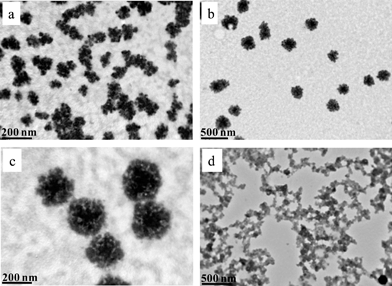 TEM images of 0.0006 wt% (PS34)22(P2VP136-b-PAA119)22 aqueous solutions at (a–c) pH 2 and at (d) pH 8.5.