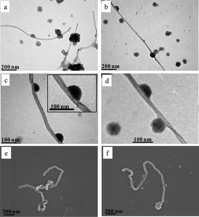 TEM (a–d) and SEM (e and f) images of MWCNT–star nanohybrids embedded on carbon-coated substrate from aqueous solutions of pH 8.5.