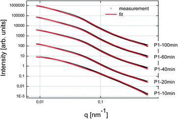 SAXS patterns of the C–S–H suspensions synthesized with Polymer 1. The curves were shifted arbitrarily on the y-axis to make the curves visible.