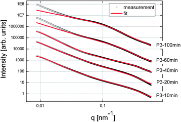 SAXS patterns of the C–S–H suspensions synthesized with Polymer 3. The curves were shifted arbitrarily on the y-axis to better distinguish them.