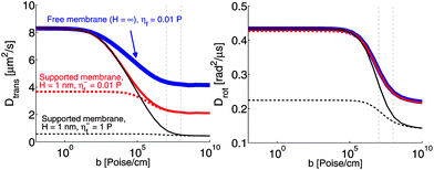 Diffusion coefficients in the top (solid lines) and bottom (dashed lines) leaflets of a supported membrane (see Fig. 6) as a function of the interleaflet coupling parameter, b. R = 2 nm, H = 1 nm, η+f = 0.01 poise and η± = 2 × 10−7 poise cm, corresponding to a generic protein–lipid system and a closely supported geometry. T = 319 K (above the melting transition for DPPC). Vertical dashed lines indicate the window of known b values for experimental lipid systems.