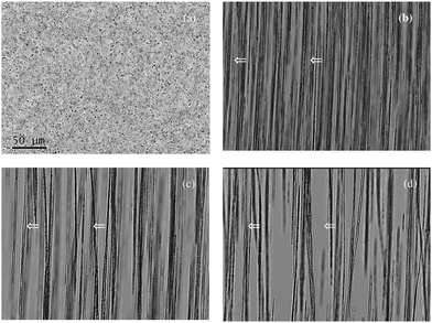 Optical micrograph of a solution of concentration 1 g l−1 of Estapor® M1-030/40 particles under a bar magnet at times (a) 0 s, (b) 120 s, (c) 240 s and (d) 360 s after placing the magnet. The scale bar in (a) is valid from (a) to (d). Linear aggregates form in the direction of the local field (vertical) and move in the direction of the magnetic field gradient (towards the left), as indicated by white arrows. As time goes, aggregates collide laterally and thicker aggregates are formed (figure reproduced from ref. 17). See also the videos of these experiments in YouTube.18,19