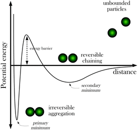 Scheme showing the free energy profile of interaction between two superparamagnetic particles in a strong magnetic field according to a generalized DLVO theory including magnetic interactions (adapted from ref. 22 and 29). It is assumed that the particles are stabilized electrostatically.