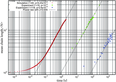 Log–log plot of the kinetics for the irreversible growth of chains as obtained in simulations and experiments. Crosses correspond to Langevin dynamics simulations26 with Γ = 40 and ϕ0 = 5.23 × 10−4 (as in Fig. 4), squares correspond to experiments from Promislow et al.37 with Γ = 19 and ϕ = 10−2 and stars correspond to experiments from Martínez-Pedrero et al.38,39 with Γ = 118 and ϕ = 2.6 × 10−5. The three dashed lines correspond to a power law asymptotic kinetics 〈N〉 ∼ tz with exponent z = 0.645.