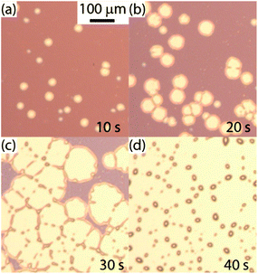 Time lapse optical micrographs of a PS film dewetting from a glutaraldehyde surface. The times shown are from the start of solvent annealing in a toluene vapour environment.