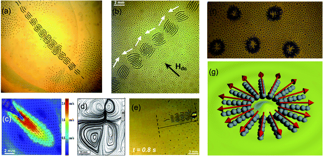 Dynamic self-assembly at liquid interfaces. (a) Dynamic multi-segmented pattern (snake) generated by an alternating field (110 Oe, 50 Hz) at a water–air interface;80 (b) response of the dynamic snake structure to an in-plane magnetic field. One sees zig-zag order indicative of antiferromagnetic ordering between the segments comprising the structure;82 (c) surface flow velocity field in the vicinity of the snake's tail. Arrows depict the surface velocity field obtained by PIV and the background colors show magnitudes of flow velocities. (d) Self-propelled pattern-bead hybrids.84 The arrow shows the distance travelled by the structure in 0.8 seconds. A spherical glass bead was used; (e) the asymmetric vortex structure of a self-propelled snake structure. The arrow shows the direction of swimming. (f) Self-assembled dynamic asters and (g) schematics of a magnetic ordering in asters.91 Reproduced with permission from ref. 80, 82, 84 and 91.