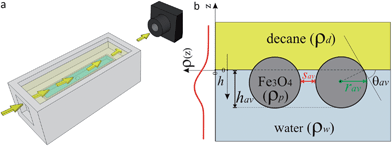 (a) Schematic representation of the HE-XR experimental geometry. The yellow arrows represent the X-ray beam which impinges on the liquid–liquid interface and is reflected towards the detector. (b) Scheme of the experimental quantities in the HE-XR experiments. The average NP immersion depth hav is obtained from the fitted electron density profile ρ(z) (red line) and an effective average contact angle θav can be calculated. Assuming uniform hexagonal packing and core radius rav, the average core-to-core inter-particle separation sav can be calculated from the amplitude of the ρ(z) peak.