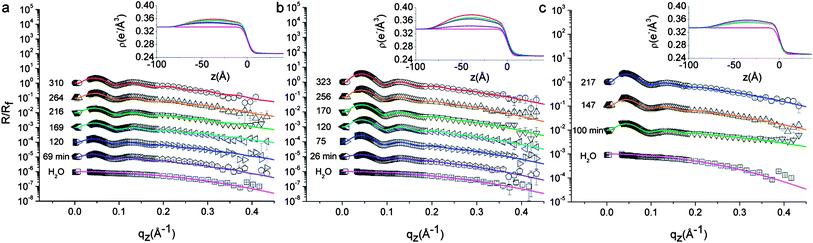 Measured HE-XR profiles normalized by the theoretical Fresnel reflectivity for L5 (a), L2.5 (b) and D2.5 (c). The experimental data points (symbols), fits (solid lines), and the corresponding electron density profiles ρ(z) (insets) are shown for different adsorption times as indicated in the graphs (curves are shifted for clarity). The times of the data points correspond to the abscissa values of Fig. 4b–c. All graphs include the bare water–n-decane interface reflectivity profile at the bottom (□). Micron level misalignments between the X-ray beam and the interface in some of the measurements affect the quality of the data points near the critical angle, therefore they are excluded from the graph and from the model fitting procedure.