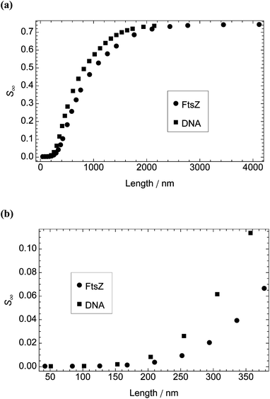 Steady-state orientation parameter, S∞, calculated from the model as a function of particle length for DNA molecules (width 2.37 nm and length in multiples of 0.34 nm) and FtsZ protofilaments (width 5.7 nm and length in multiples of 4.2 nm). Shear rate and temperature: 3000 s−1 and 37 °C for DNA; 1000 s−1 and 22 °C for FtsZ. (a) Particle length 42–4116 nm. (b) Particle length 42–378 nm.