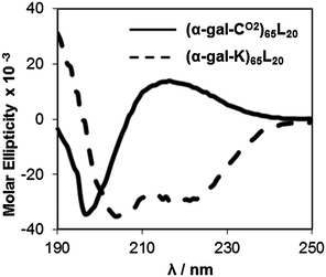 Circular dichroism spectra of glycosylated diblock copolypeptides. Samples are (α-gal-CO2)65L20 (solid line) and (α-gal-K)65L20 (dashed line), 0.2 mg mL−1 in deionized water. Molar ellipticity is reported in millideg cm2 dmol−1.