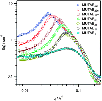 SANS patterns of micellar solutions of 2 wt% MUTABn in D2O. Solid lines show with fits to a prolate spheroid model with screened Coulomb interaction. Monomer, MUTAB1, and micelle polymerized, MUTABmic, at 2 × CMC = 1.72 wt% are also shown.18