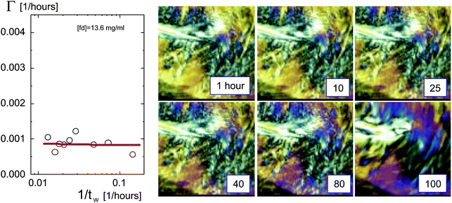 As shown in Fig. 4, but now for an fd-concentration of 13.6 mg ml−1, which is above the concentration where the texture freezes.