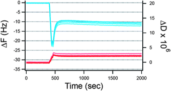 QCM-D signals (ΔF and ΔD in blue and red respectively) for the adsorption of 100 μM lysozyme against time (s) on neutral SLBs. Upon adsorption, a sudden change in the direction of frequency shift indicates the onset of mass removal at t = 500 s after which steady state conditions were reached under continuous flow at 0.1 ml min−1. Overtones shown: 5–7–11. The small overtone spreading indicates the formation of relatively compact and homogeneous layers.