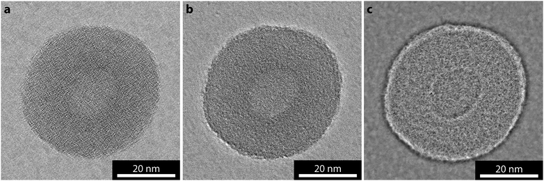 EWR of a polymersome on GO using a conventional TEM at 200 kV. (a) Near focus image (focus −12 nm), (b) EWR amplitude image and (c) EWR phase image.