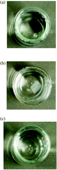 (a) Photograph of the swollen magnetic hydrogel. (b) Hydrogel after the magnetic cores have been dissolved. (c) Polymer solution after the hydrogel has been degraded. From ref. 27.