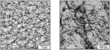 TEM images of the magnetic hydrogel at low (left) and high (right) resolution. From ref. 27.