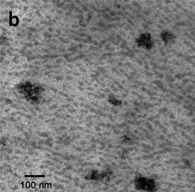 TEM image of the hierarchically structured hydrogel containing magnetic nanoparticles as well as liquid-crystalline domains formed by block copolymers. A few large-size clusters (around 200 nm) of magnetic nanoparticles are present. Figure taken from ref. 29.