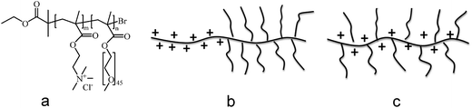 (a) Molecular structure of (METAC)m-b-(PEO45MEMA)n, (b) sketch of the structure of (METAC)m-b-(PEO45MEMA)n, (c) sketch of an example of a random copolymer with PEO side chains along the cationic backbone.